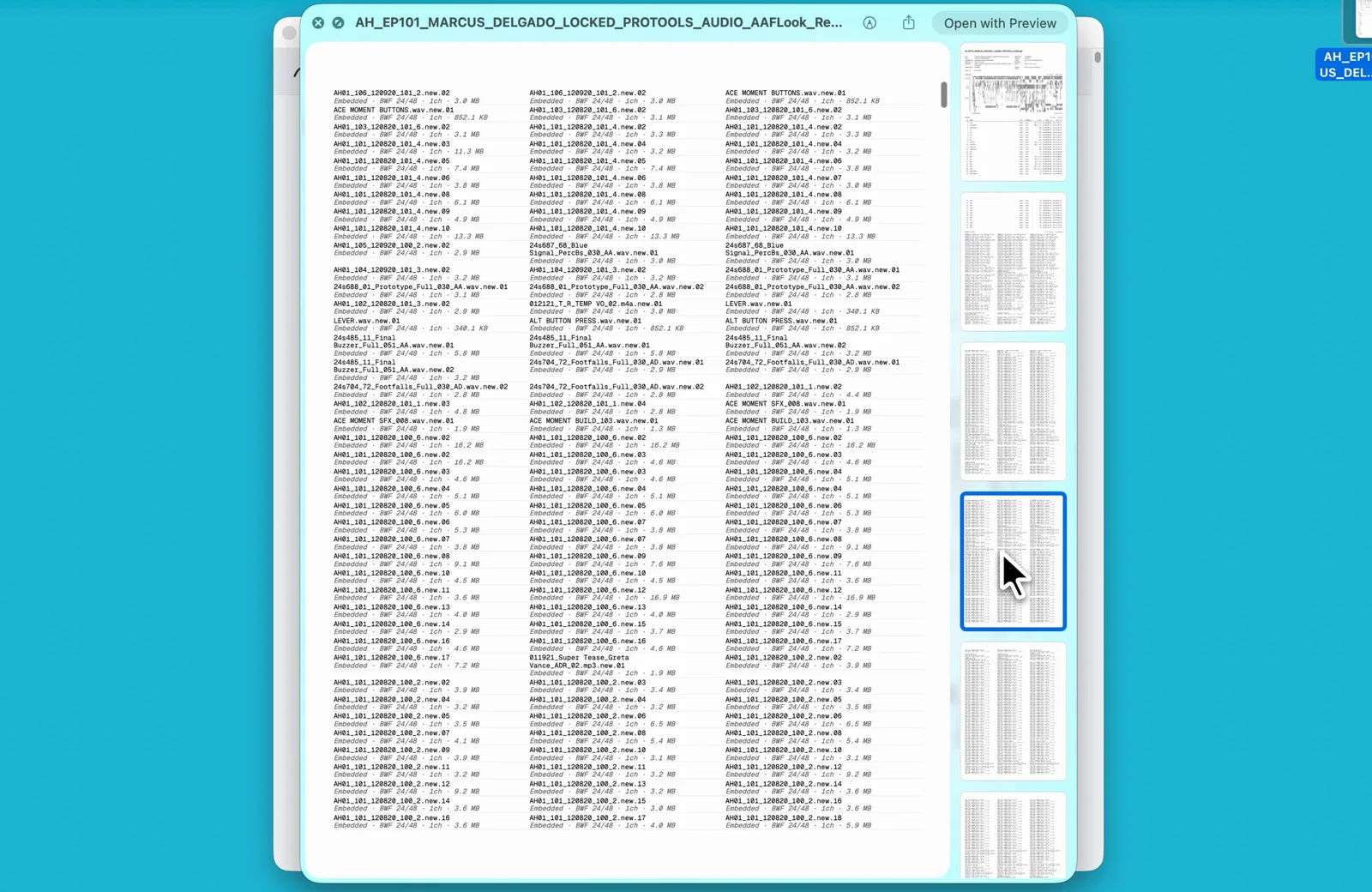 The exported AAF Look report open in Preview, page thumbnails down the right, the tracks table on the page.