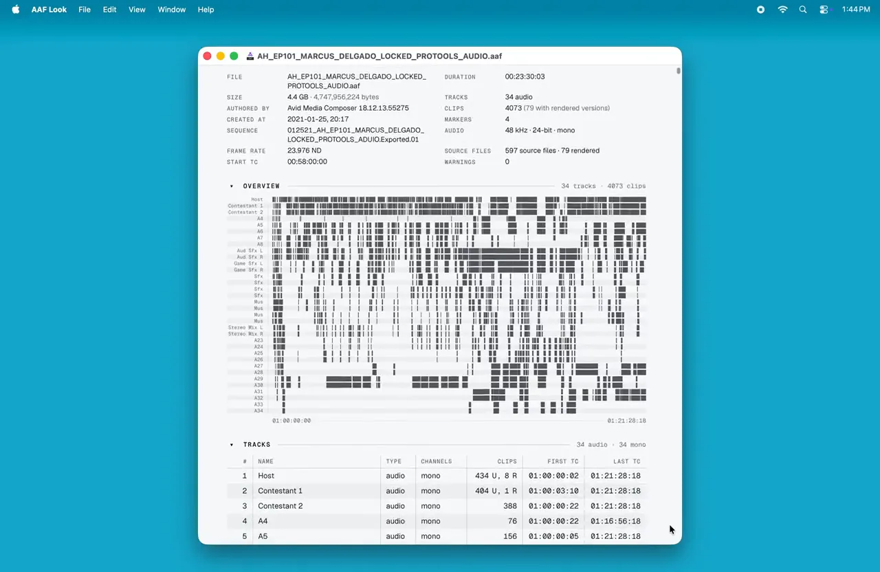 The AAF Look report for the demo turnover: file summary, track overview map, and the tracks table.