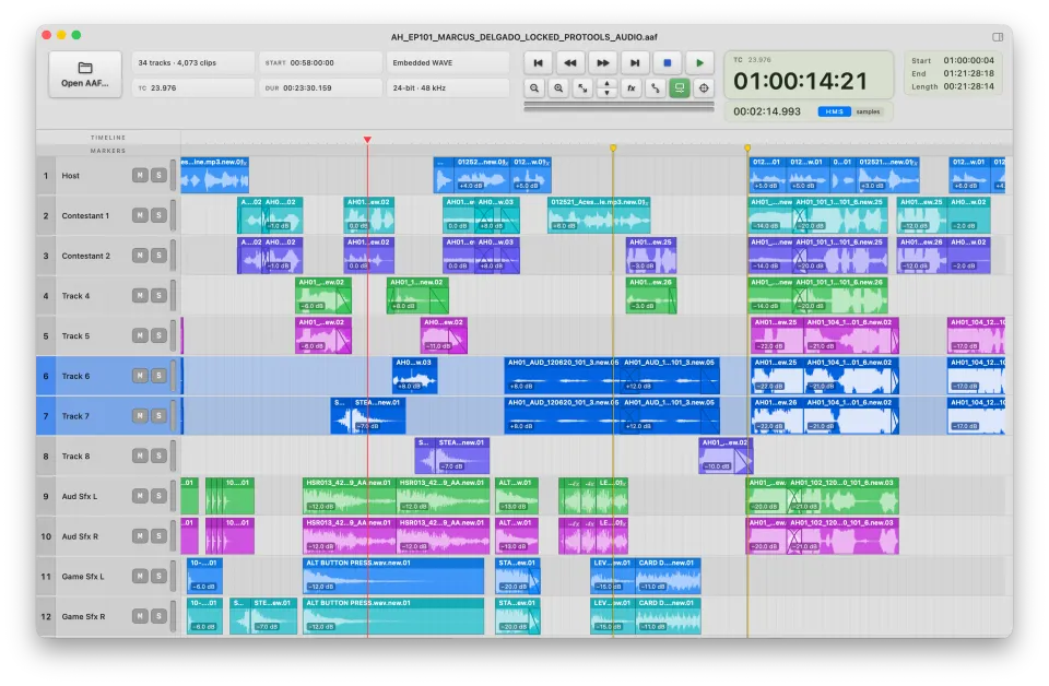 AAF Player timeline with two tracks selected by their names, tinted blue.